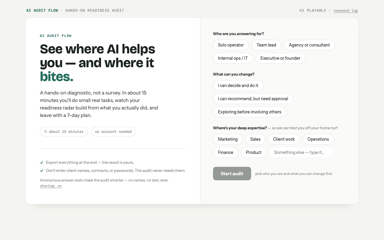 The AI Audit Flow web app: an intake screen asking who you are answering for and what you can change